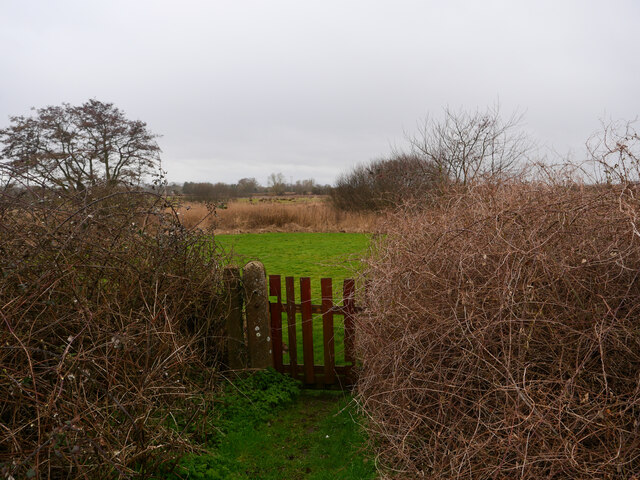 Gate To Area Of Grass David Pashley Cc By Sa Geograph Britain