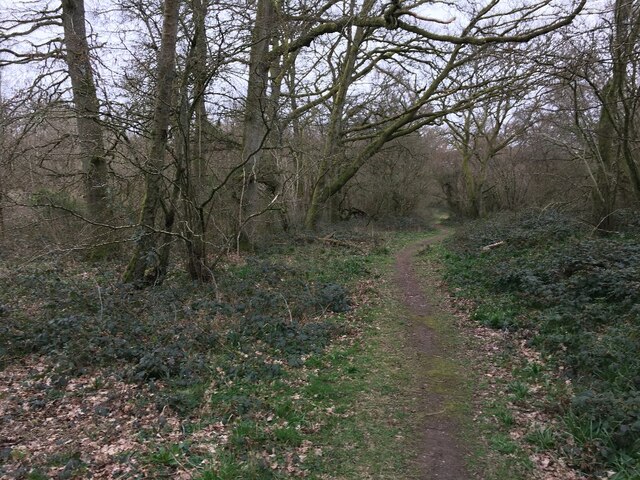 Footpath Through Warren Bottom Copse Mr Ignavy Cc By Sa 2 0