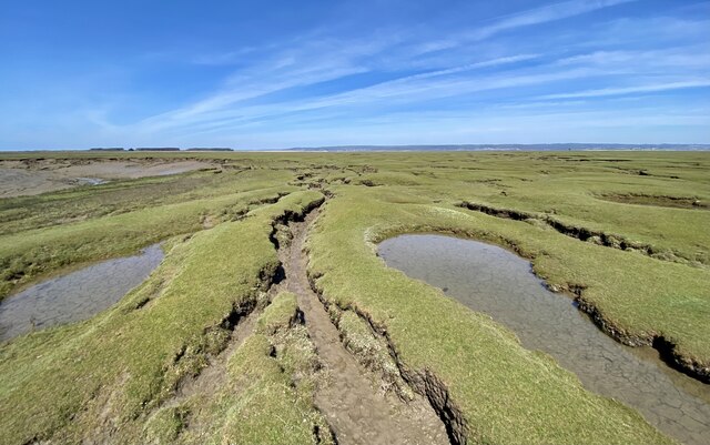 Landimore Marsh Alan Hughes Cc By Sa Geograph Britain And Ireland