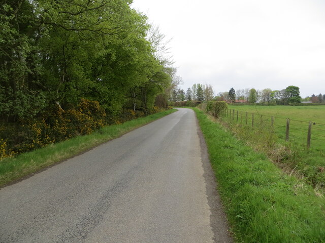 Minor Road Beside Balcormo Wood Peter Wood Cc By Sa Geograph