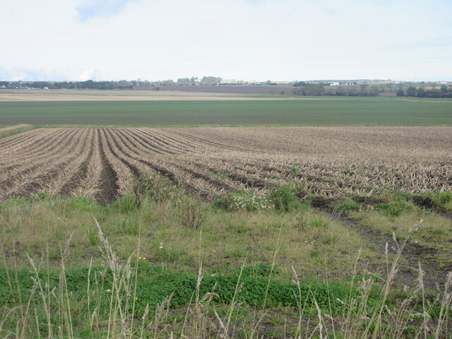 Potato Field Near Kilrenny Scott Cormie Cc By Sa Geograph