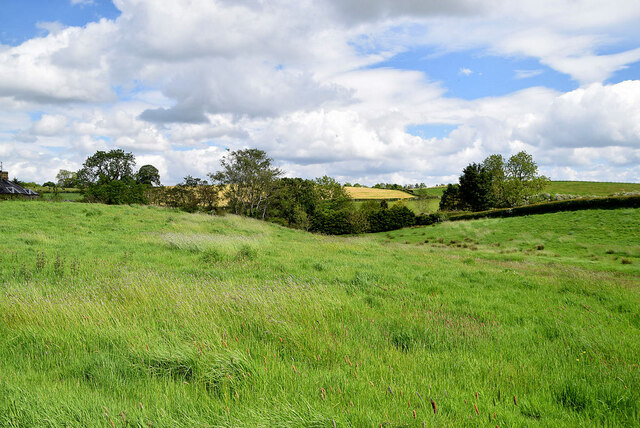 Drumragh McCausland Kenneth Allen Cc By Sa 2 0 Geograph Ireland