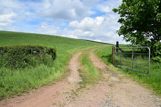 An Open Field Drumragh Kenneth Allen Geograph Ireland