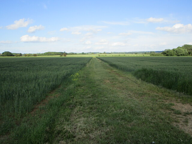 Farm Track Between Wheat Fields Near Jonathan Thacker Cc By Sa 2 0