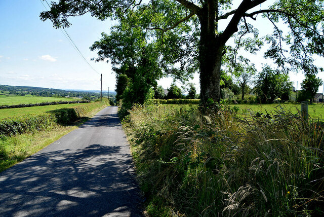 Tree Shadows Along Dunmullan Road Kenneth Allen Cc By Sa