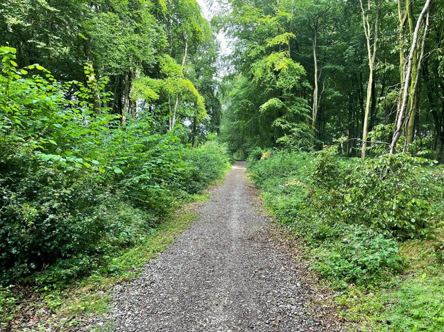 Footpath In Bull S Bushes Copse Mr Ignavy Cc By Sa Geograph