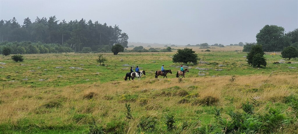 Fyfield Down Wiltshire Rebecca A Wills Geograph Britain And Ireland