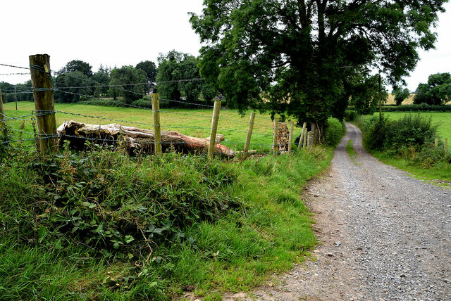 Lane Mountjoy Forest West Division Kenneth Allen Cc By Sa 2 0