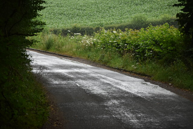 Quiet Lane N Chadwick Cc By Sa 2 0 Geograph Britain And Ireland