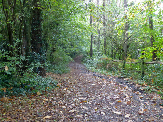 Bridleway 33Ba Balcombe Parish Robin Webster Cc By Sa 2 0