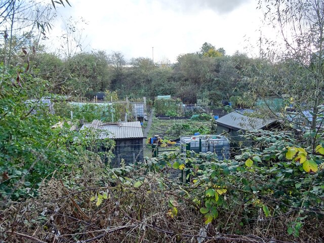 Darklands Lane Allotments Ian Calderwood Cc By Sa 2 0 Geograph