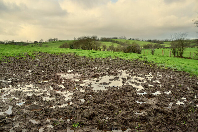 A Muddy Field Kiltamnagh Kenneth Allen Cc By Sa Geograph Ireland