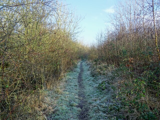 Frosty Footpath In Maybury Wood Ian Calderwood Geograph Britain