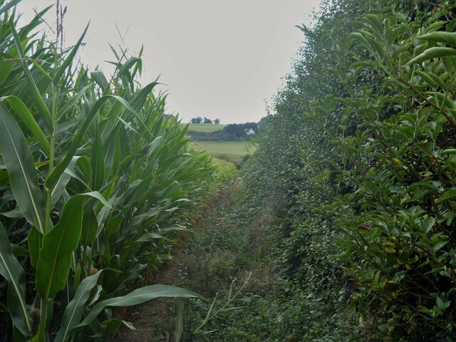 A Walk From St Margarets At Cliffe To Michael Dibb Geograph