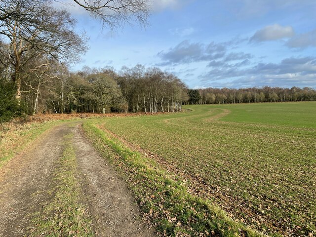 Track Skirting Walker S Copse Mr Ignavy Cc By Sa Geograph