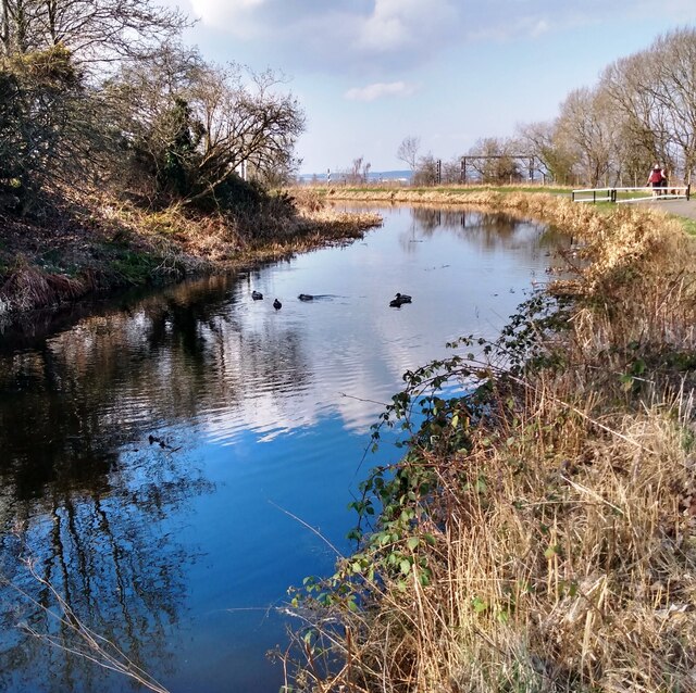 Ducks On Union Canal Jim Smillie Cc By Sa Geograph Britain And