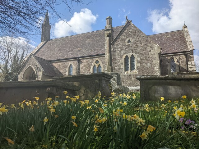 Daffodils At St Mary S Church Tretire Fabian Musto Geograph