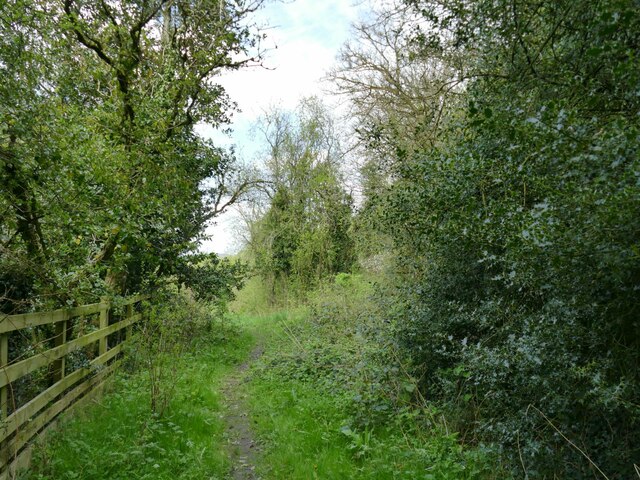 Footpath Off Green Lane Stephen Craven Geograph Britain And Ireland