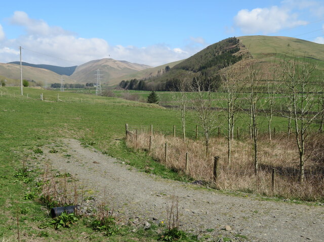 White Hill And Whitehill Wood M J Richardson Cc By Sa Geograph