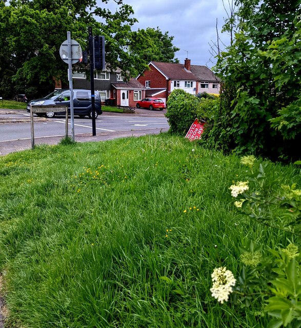 Unmown Grassy Corner Malpas Newport Jaggery Cc By Sa 2 0