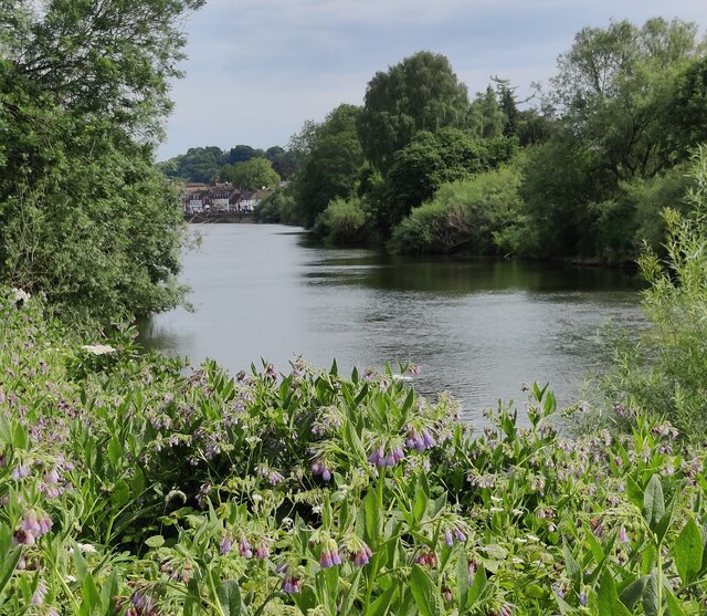 The River Severn Near Bewdley Mat Fascione Geograph Britain And