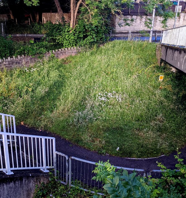 Unmown Grass On A Crindau Corner Jaggery Cc By Sa 2 0 Geograph