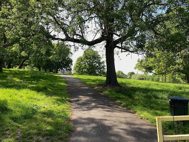 Southeastern Edge Of Norwood Park Robin Stott Geograph Britain And