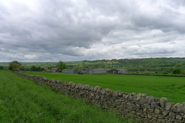 The Weardale Way Passing McNeil Farm Tim Heaton Cc By Sa 2 0