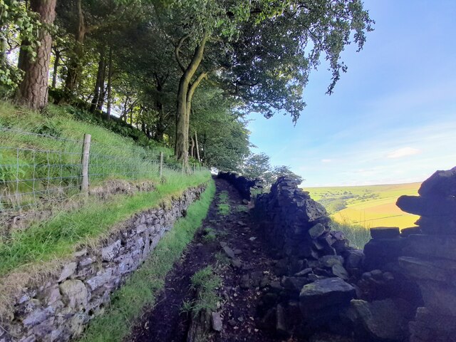 Walled Footpath By Berrybank Wood Ian Calderwood Cc By Sa 2 0