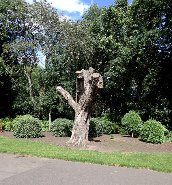 Tree Stump Crow Nest Park Dewsbury Habiloid Cc By Sa 2 0