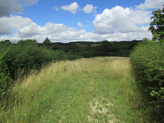 Grass Field Near Leigh Lodge Jonathan Thacker Cc By Sa 2 0