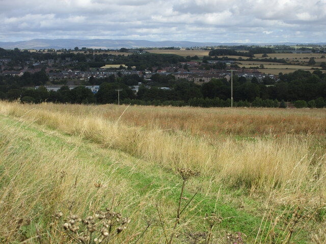 Field Above Brechin Scott Cormie Cc By Sa Geograph Britain And