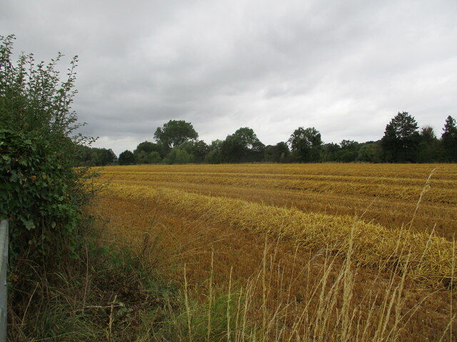 Harvested Field Near Rhyse Farm Jonathan Thacker Cc By Sa 2 0