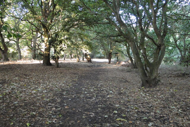 Bonds Meadow Adrian S Pye Geograph Britain And Ireland