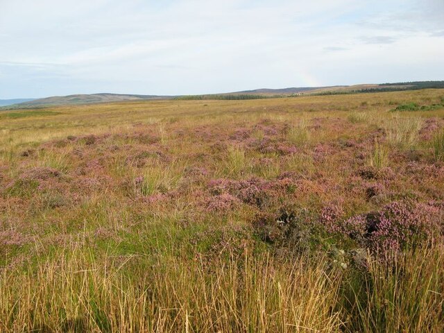 Heather Moorland Jonathan Wilkins Geograph Britain And Ireland