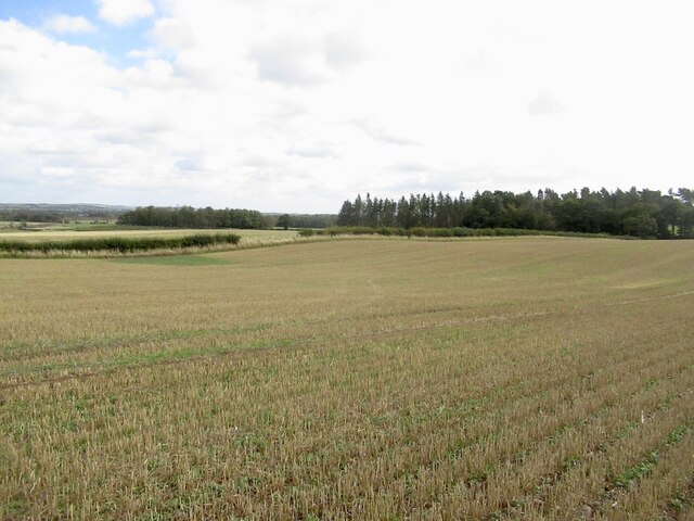 Stubble Buxley Richard Webb Cc By Sa Geograph Britain And Ireland