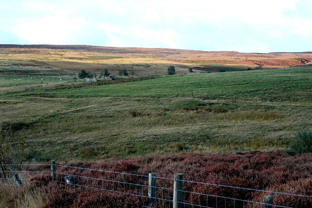 View To Ruin Of Acton Mill From Andrew Curtis Geograph Britain