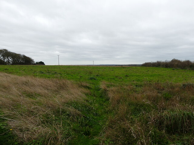 Area Of Rough Grass David Pashley Cc By Sa 2 0 Geograph Britain