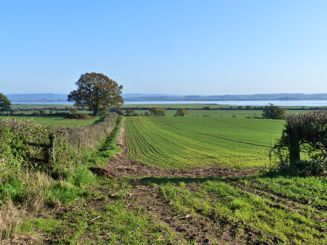 Footpath And Field Boundary In Warm Ruth Sharville Geograph