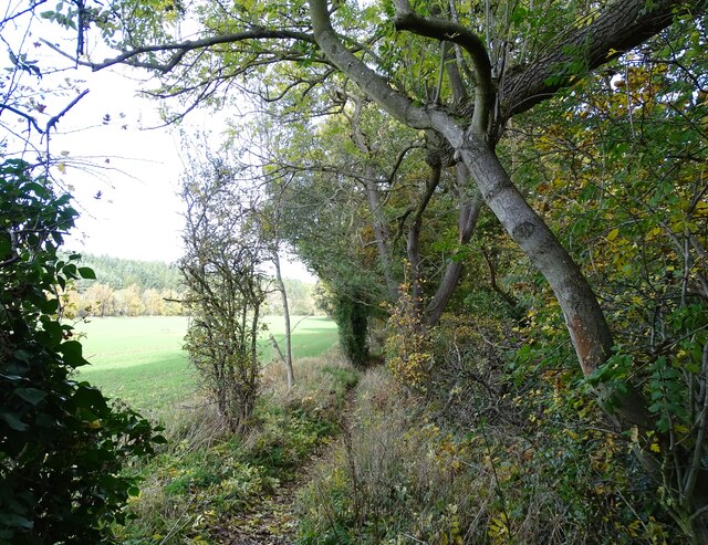 Riverside Path At Shotley Bridge Robert Graham Geograph Britain