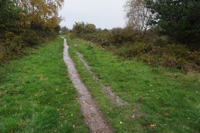 Turf Zone WestHoweZone Ian S Cc By Sa 2 0 Geograph Britain And