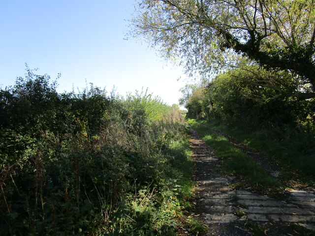 Footpath Off Priory Road Chilton Polden Jonathan Thacker Cc By Sa 2