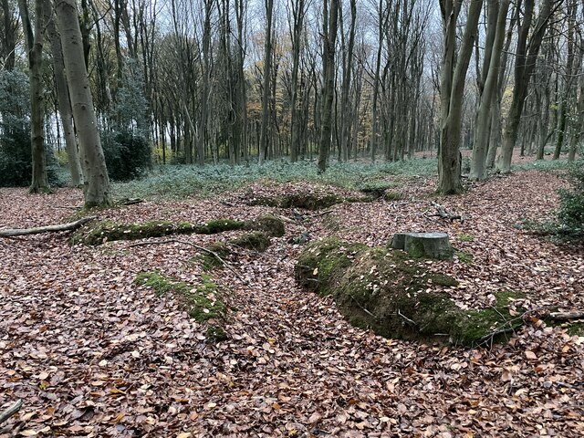 Within Bull S Bushes Copse Mr Ignavy Cc By Sa Geograph Britain