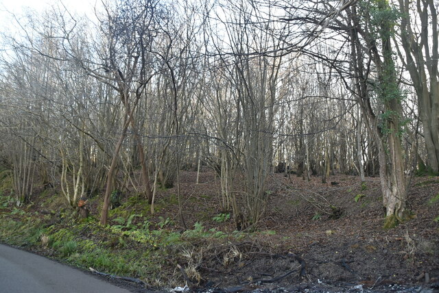 Rafters Wood N Chadwick Geograph Britain And Ireland