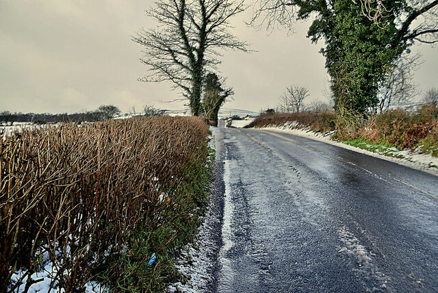 Bare Hedge Along Loughmacrory Road Kenneth Allen Geograph Ireland