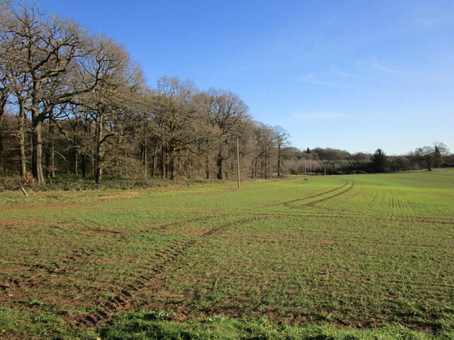 Woodland And Autumn Sown Crop On The Jonathan Thacker Cc By Sa 2 0