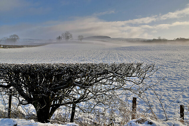 Bare Hedge And Snow Dunmullan Kenneth Allen Cc By Sa 2 0 Geograph