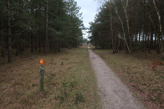 Track To Brandon Heath Hugh Venables Cc By Sa Geograph Britain