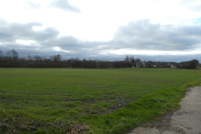 Railway Embankment And Passing Train DS Pugh Geograph Britain And