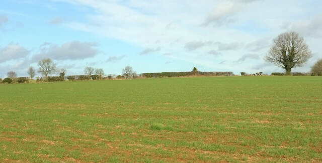 Field On D Arcy Dalton Way Derek Harper Geograph Britain And Ireland